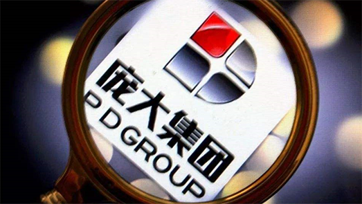 龐大集團再被爆出信披違規(guī) 龐慶華申辯被駁罰去職3年