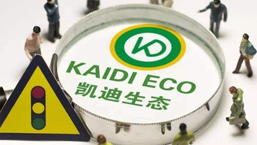 *ST凱迪小股東稱無路可退 開展司法重整等議案全部通過