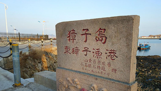 大量外購扇貝再加工？深交所再對獐子島發(fā)關(guān)注函
