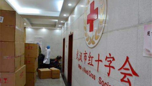 武漢市紅十字會接收捐贈超6億元 存在調(diào)撥不夠及時等問題